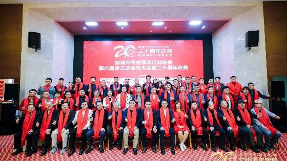 3044AM永利集团科技受邀参加深圳市平板显示行业协会（SDIA）第六届第四次理事会、第六届第三次会员大会暨二十周年庆典